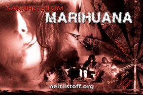 Sannheten om marihuana