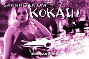 Sannheten om kokain